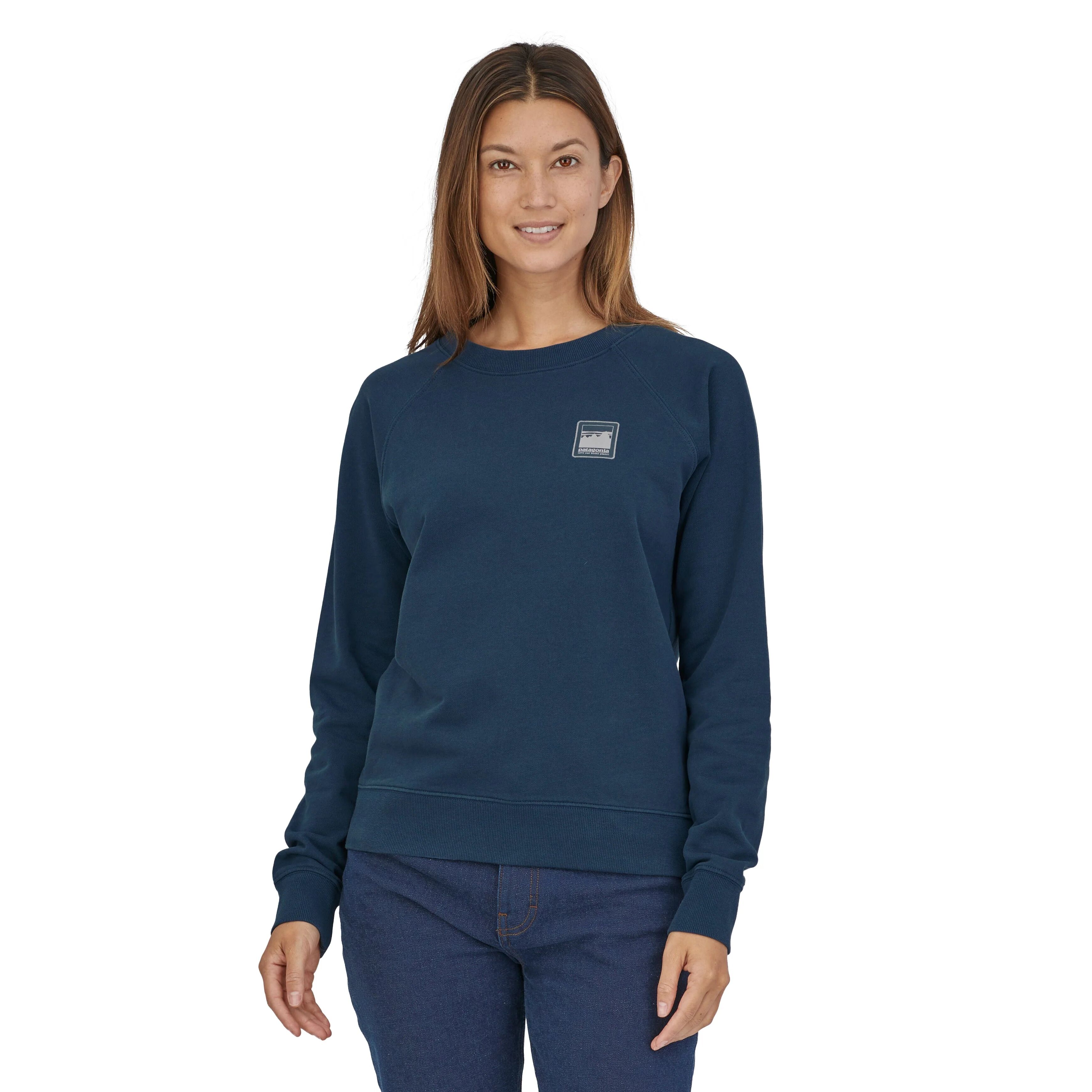 Patagonia's W's Alpine Icon Regenerative Organic Certified Cotton Crew S, Tidepool Blue / L