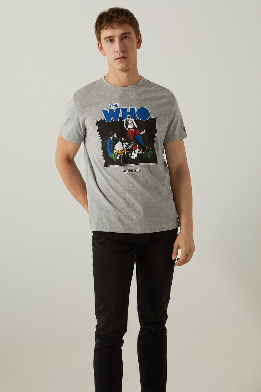 Springfield T-shirt the who Springfield gris