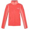 Regatta Dames lindalla iii fleece Oranje 42 Female