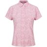 Regatta Dames mindano vii ditsy print blouse met korte mouwen Roze 36 Female