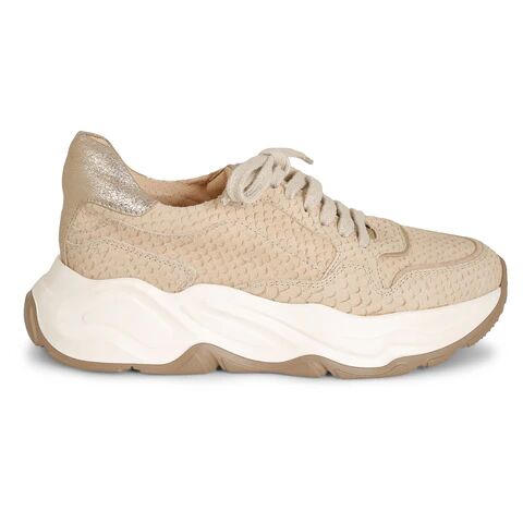 Laura Bellariva 6580C2 Ladies Sneaker - Nabuk BeigeBeige