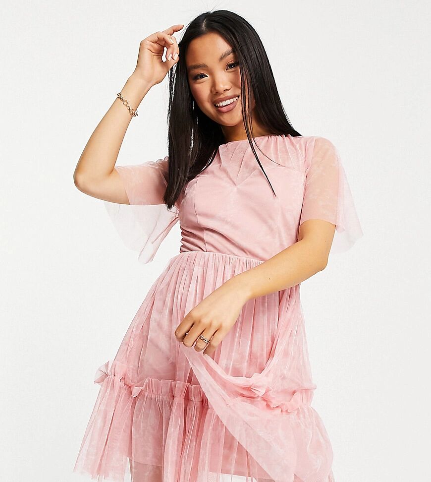 Anaya Petite Anaya with Love Petite mini dress with flounce skirt in pink embossed tulle  Pink