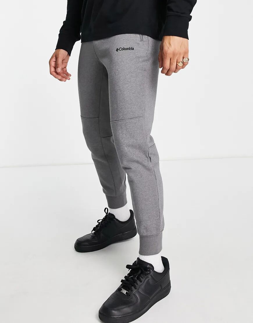 Columbia Lodge Freemont joggers in grey  Grey