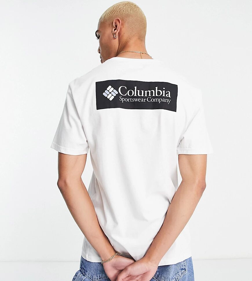 Columbia North Cascades t-shirt in white Exclusive at ASOS  White