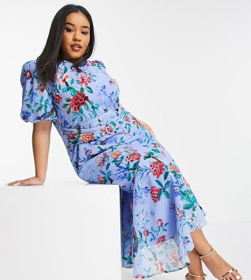 Hope & Ivy Plus puff sleeve asymmetric belted midi dress in bright blue poppy print  Blue