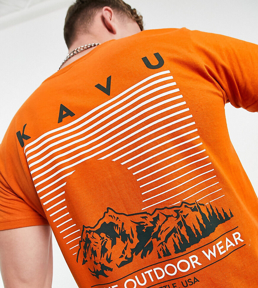 Kavu Landscape back print t-shirt in orange Exclusive at ASOS  Orange