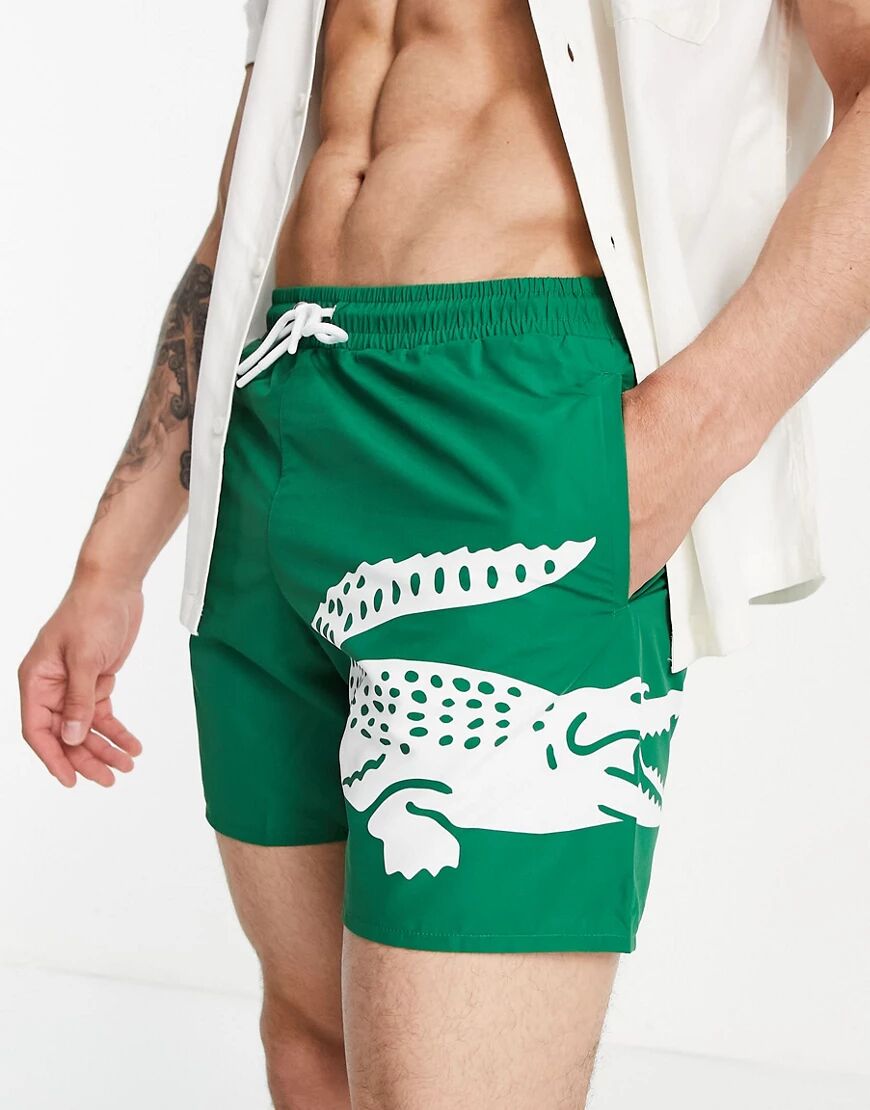 Lacoste croc logo swim shorts-Green  Green