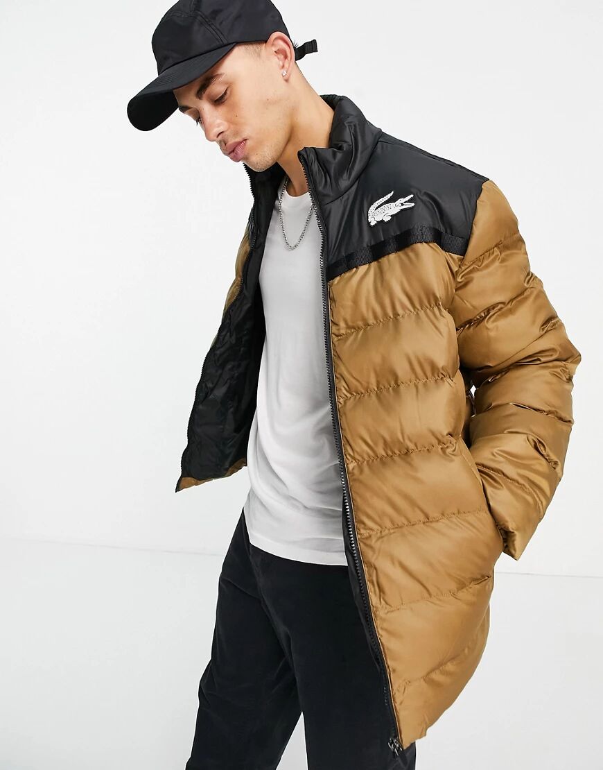 Lacoste padded jacket-Brown  Brown