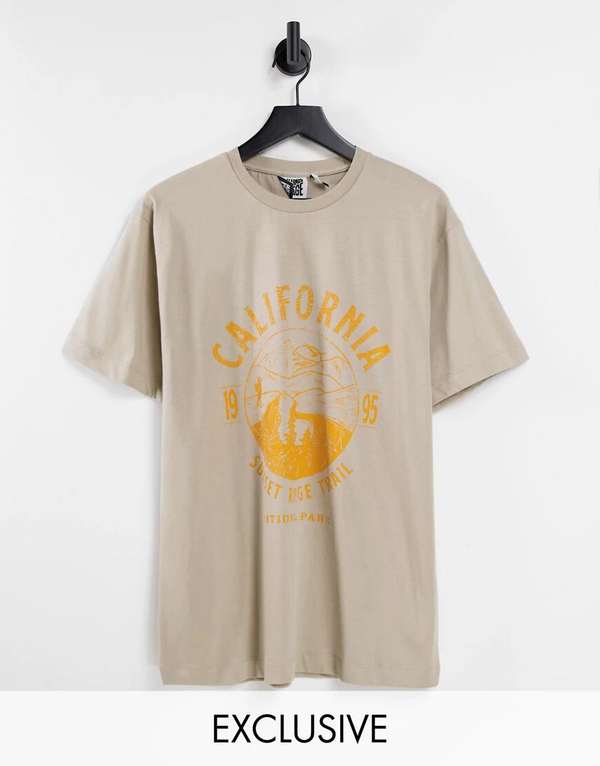 Reclaimed Vintage inspired oversized organic cotton t-shirt with california print in stone-Neutral  Neutral