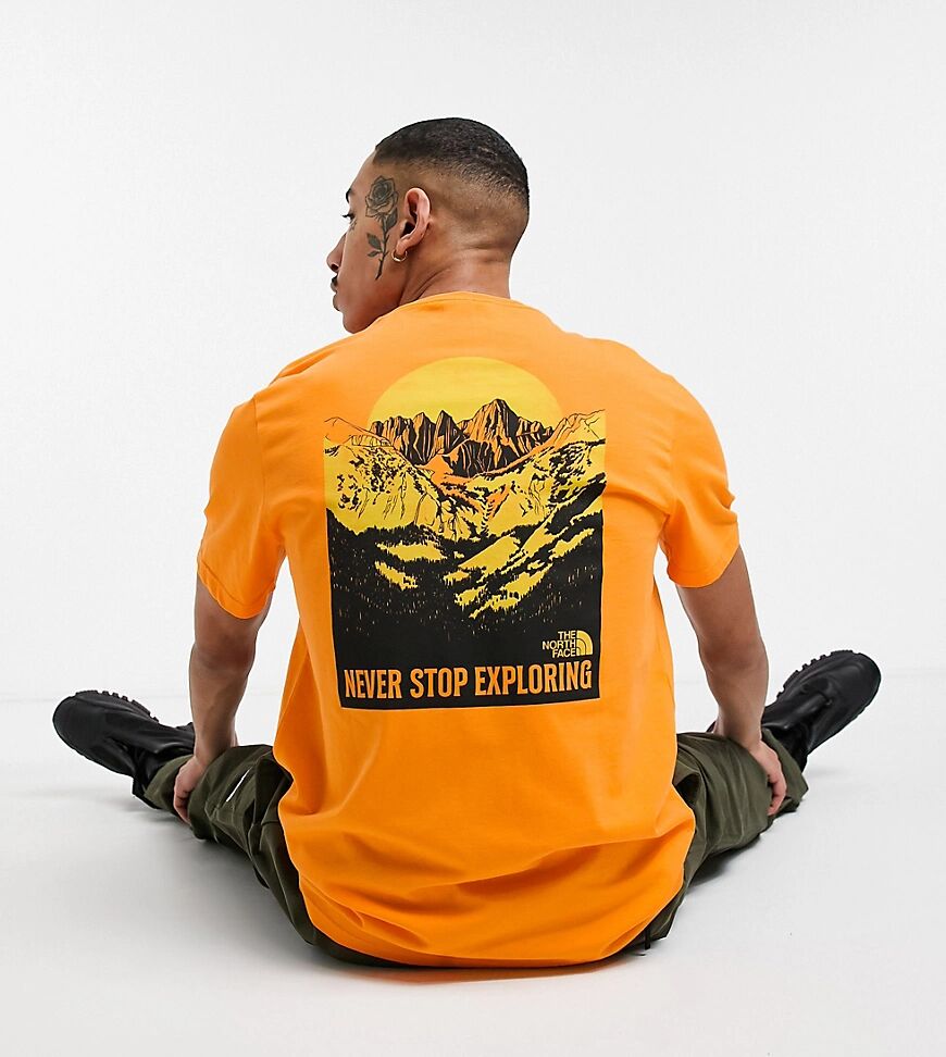 The North Face Back Natural Wonders t-shirt in orange Exclusive at ASOS  Orange