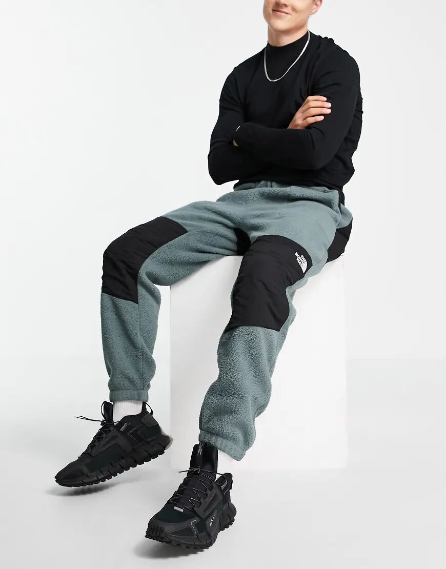 The North Face Denali joggers in green  Green