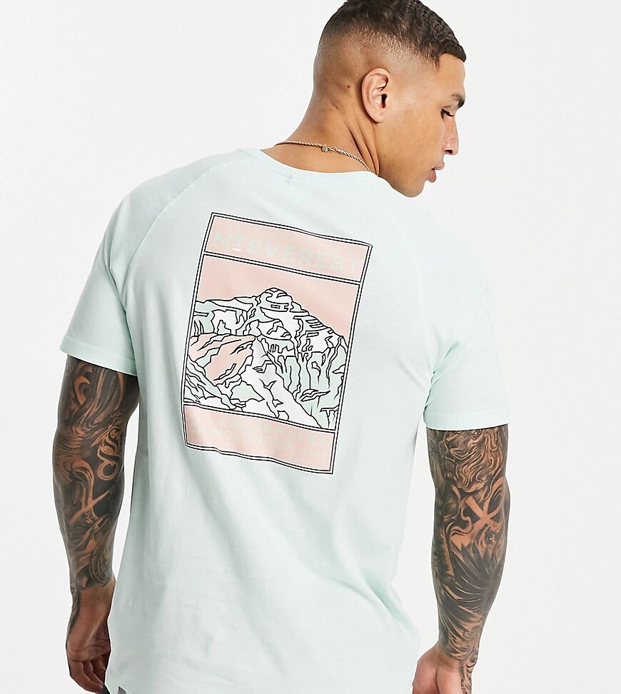 The North Face Faces t-shirt in mint Exclusive at ASOS-Green  Green