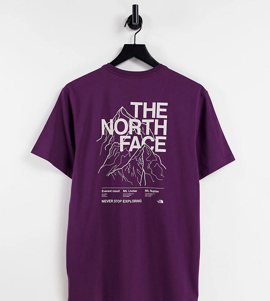 The North Face Mountain Outline t-shirt in burgundy Exclusive at ASOS-Red  Red