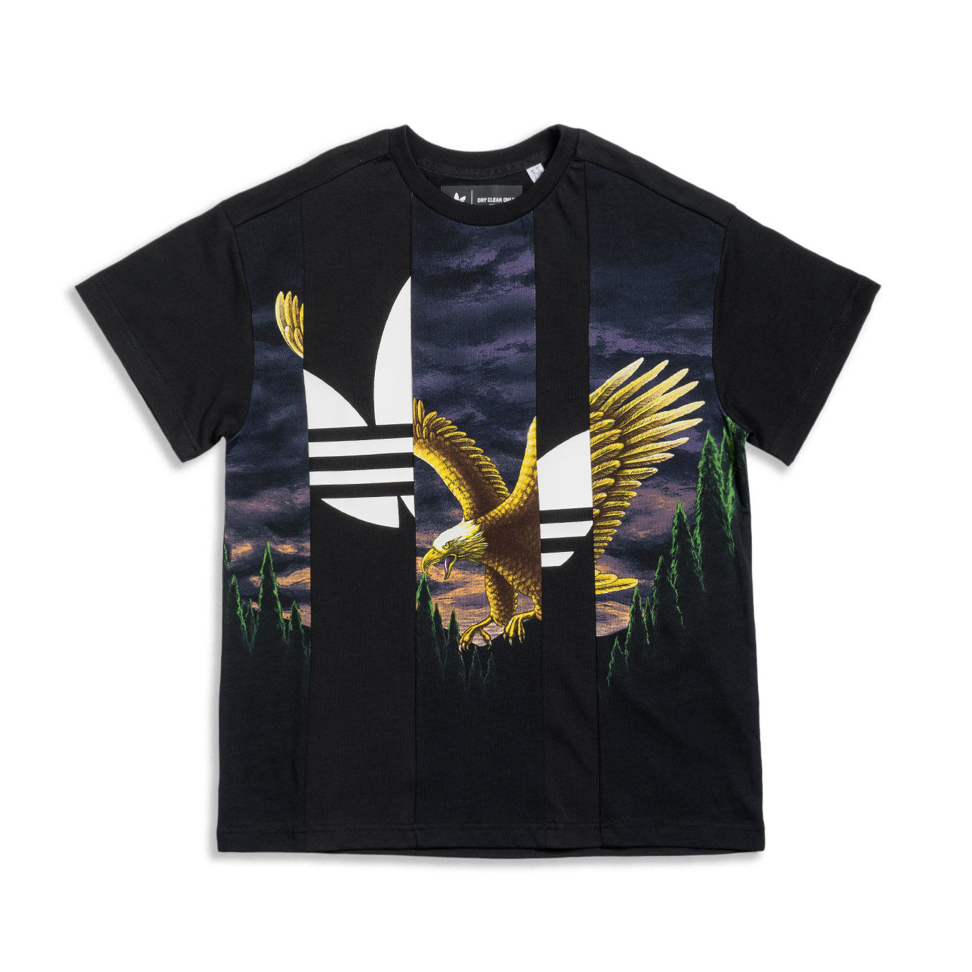 Adidas Graphic Tee