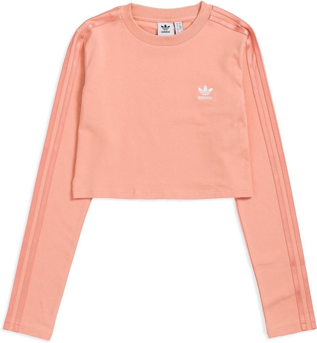 Adidas Crop Ls Tee