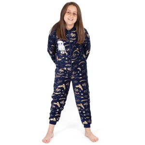 (Blue, 12-13 Years) Harry Potter Onesie Girls Kids All In One Pyjamas