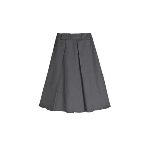 Cubic High Waisted A-line Midi Pleated Skirt Gray M female