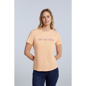 Animal Marina Womens Organic Logo T-Shirt - Orange - Orange - Size: 16