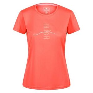 Regatta Womens/Ladies Fingal VI Mountain T-Shirt