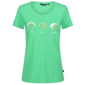 Regatta Womens/Ladies Filandra VI Seashells T-Shirt