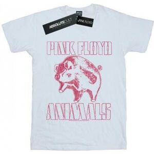 Pink Floyd Womens/Ladies Animals Algie Cotton Boyfriend T-Shirt