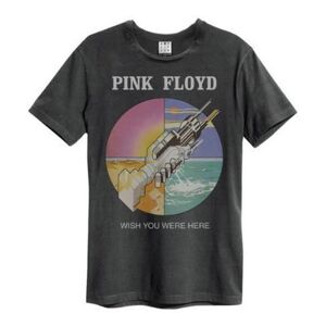 Amplified Unisex Adult Wish You Were Here Pink Floyd T-Shirt