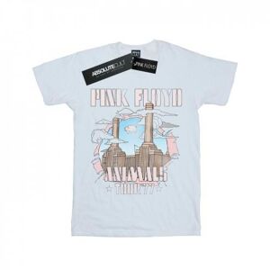 Pink Floyd Womens/Ladies Animal Factory Cotton Boyfriend T-Shirt