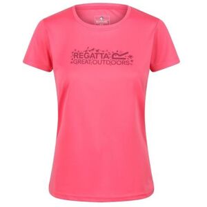 Regatta Womens/Ladies Fingal VI Logo T-Shirt