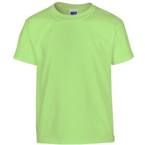 GILDAN Heavy Cotton™ Youth t-Shirt Mint Green