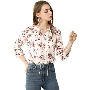 Allegra K Women's Ruffled Sleeve Blouse Frill Neck Self Tie Elegant Chiffon Floral Top Ivory XS-4