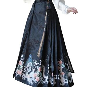WXLPCGO Women's skirts Hanfu Women's Chinese Style Suit Embroidery Sleeve Horse-face Pleated Skirt-only Black Dress-l