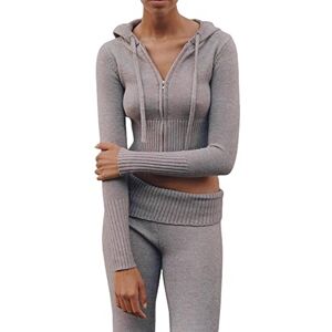 PanLidapan Women Casual Two Piece Summer Outfits Long Sleeve Zipper Hooded Crop Top Trouser Solid Colour Knit Lounge Sets Sweatsuit Tracksuit