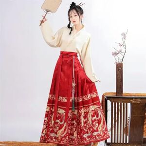 CYJAZNHH Chinese Hanfu Horse face Skirt, Horse Face Skirt Original Hanfu Set Skirt Chinese Element Costume Mamianqun Horse Face Skirt Chinese Ancient Perform Dress (Color : Set B Red, Size : L)