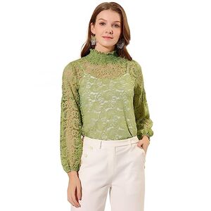 Allegra K Women's Lace Long Sleeve Tops Ruffle Neck Elegant Floral Blouses Pea Green S