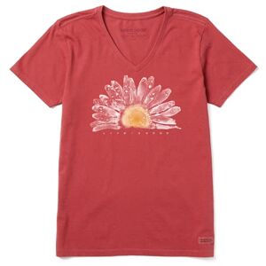 Life is Good Women's Standard Floral Print Short Sleeve Cotton Tee Graphic V-Neck T-Shirt, Watercolor Daisy Birds, Faded Red, X-Small