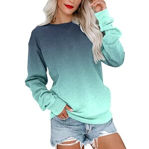 Dantazz Womens Casual Round Neck Sweatshirt Long Sleeve Top Cute Pullover Loose Version Pullover Sweater Womens Cotton Tees (c-I, L)
