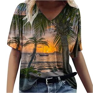 Summer Tops For Women Uk 0502b905 Tunic Tops Blouse Short Sleeve Tops Evening Wear Ladies Plus Size Tops Summer Tops UK V Neck Tropical Floral Pritned Loose Fit Spring and Casual T-Shirt Print Top Spring Top Gray Clearance