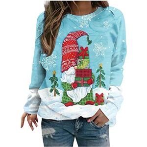 Haolei Christmas Jumper HAOLEI Ladies Christmas Jumper,Funny Graphic Reindeer Xmas Sweatshirt Crew Neck Long Sleeve Pullover Tops Blouse Christmas T Shirt for Women UK