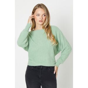 Oasis Fluffy Knit Batwing Jumper Sage M/L female