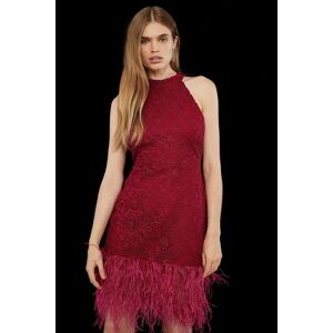 Coast Premium Lace Feather Hem Halter Neck Mini Dress