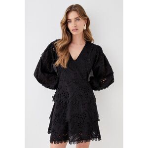 Coast Broderie Long Sleeve Tiered Skirt Mini Dress