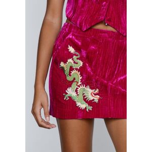 NastyGal Premium Embroidered Velvet Mini Skirt