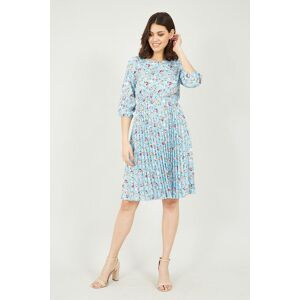 Blue Mela Pleated Skirt Skater Dress With Rose Print