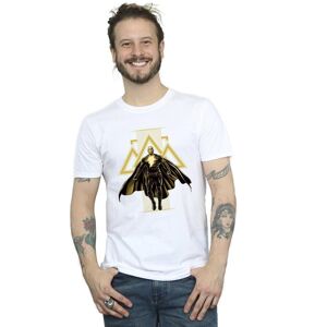 DC Comics Black Adam Rising Golden Symbols T-Shirt