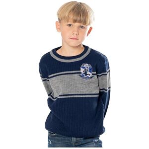 Harry Potter Varsity Ravenclaw Jumper