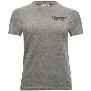 Lacoste Womenss T-Shirt In Grey Cotton - Size 6 Uk