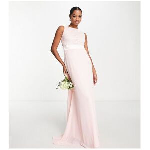 Tfnc Petite Womens S Chiffon Maxi Dress With Lace Scalloped Back In Whisper Pink - Lpink - Size 12 Uk