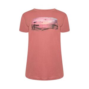 Dare 2b Womens/ladies Peace Of Mind Beach T-Shirt (Mesa Rose) - Pink - Size 8 Uk