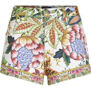 Etro , Etro Trousers MultiColour ,Multicolor female, Sizes: W27, W26, W28, W29