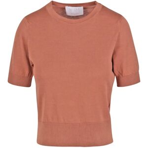 Daniele Fiesoli , Cotton T-shirt with Round Neck ,Brown female, Sizes: M, L